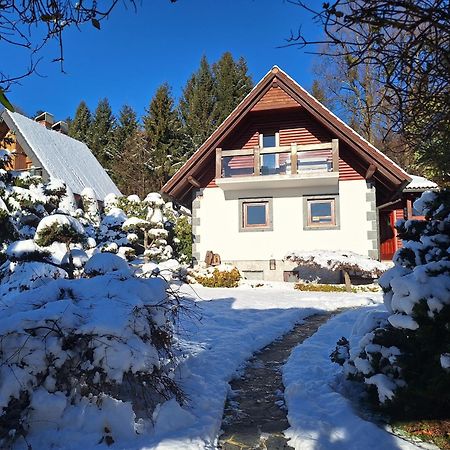 Вилла Pohorje Zen Garden Хочко Погорье Экстерьер фото