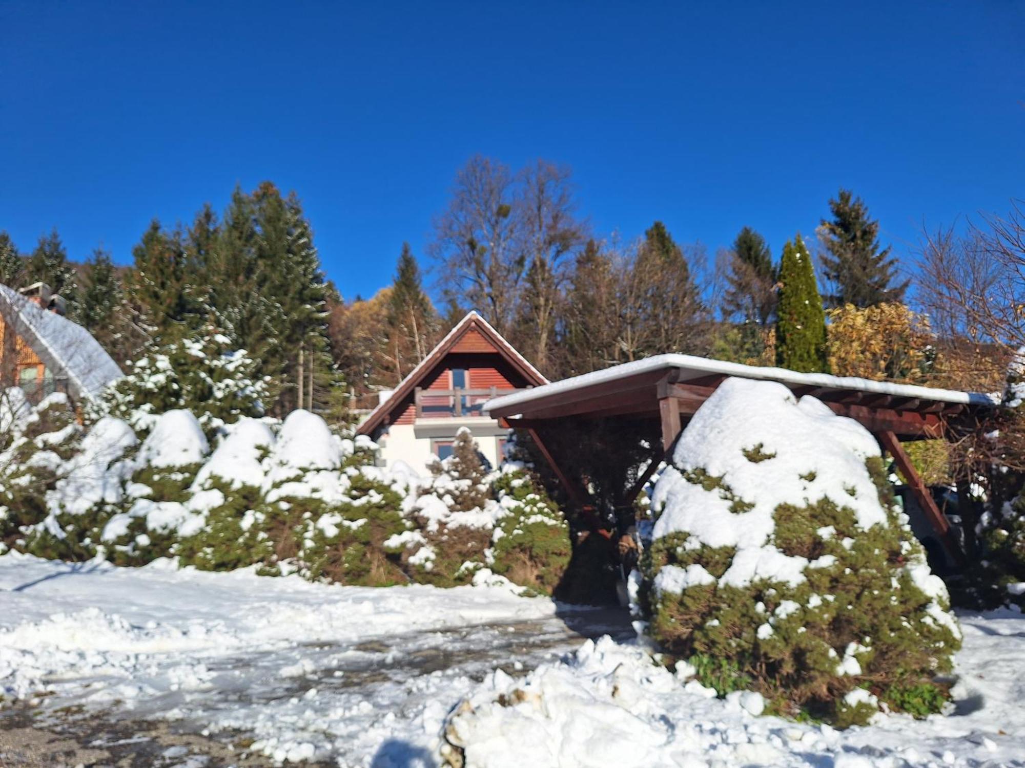 Вилла Pohorje Zen Garden Хочко Погорье Экстерьер фото