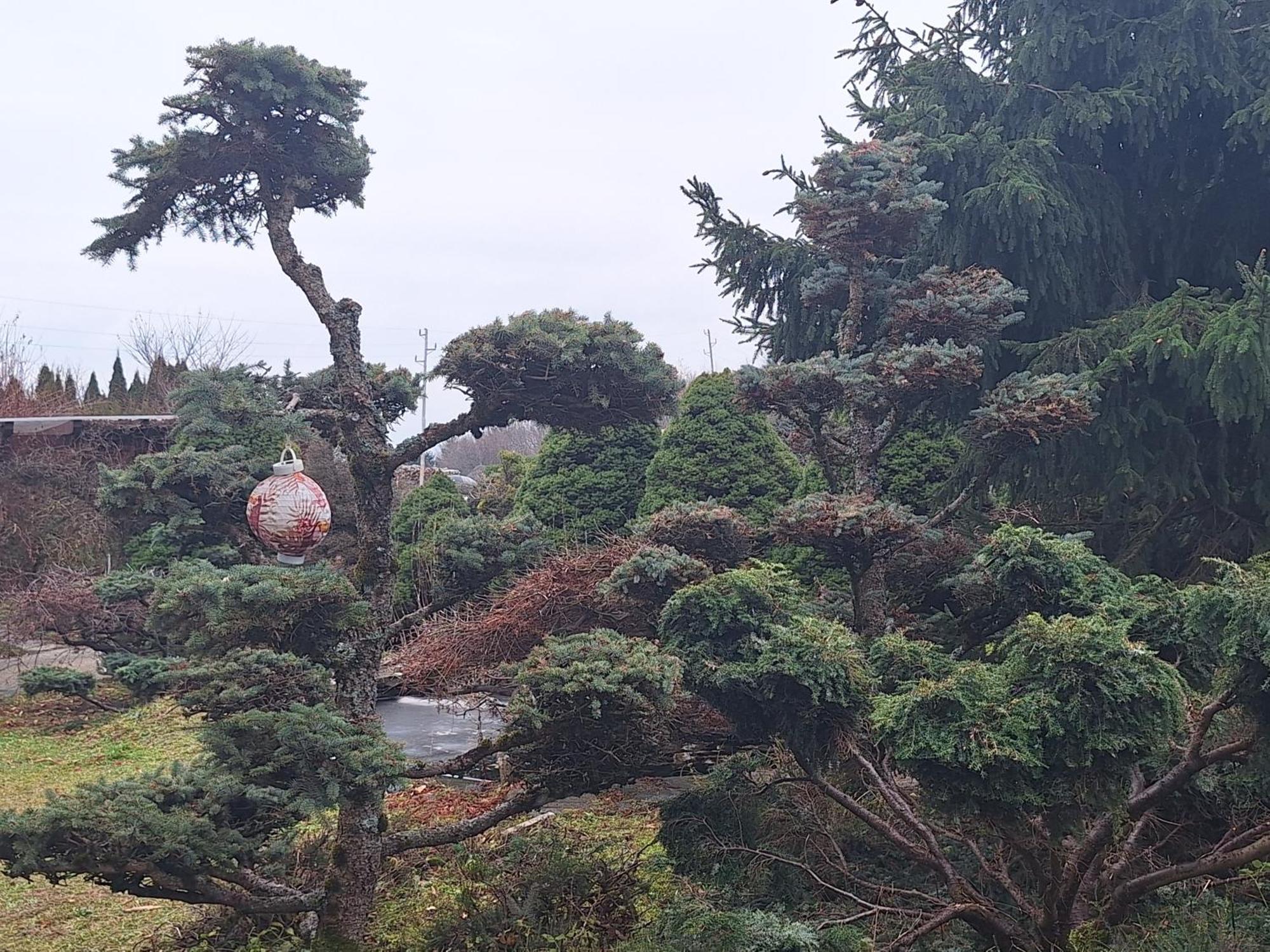 Вилла Pohorje Zen Garden Хочко Погорье Экстерьер фото