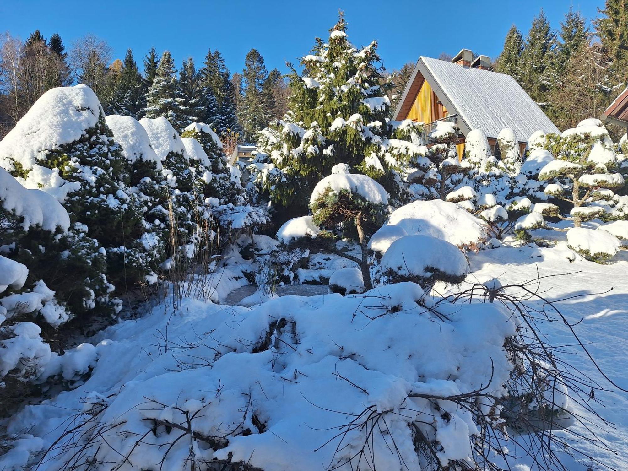 Вилла Pohorje Zen Garden Хочко Погорье Экстерьер фото