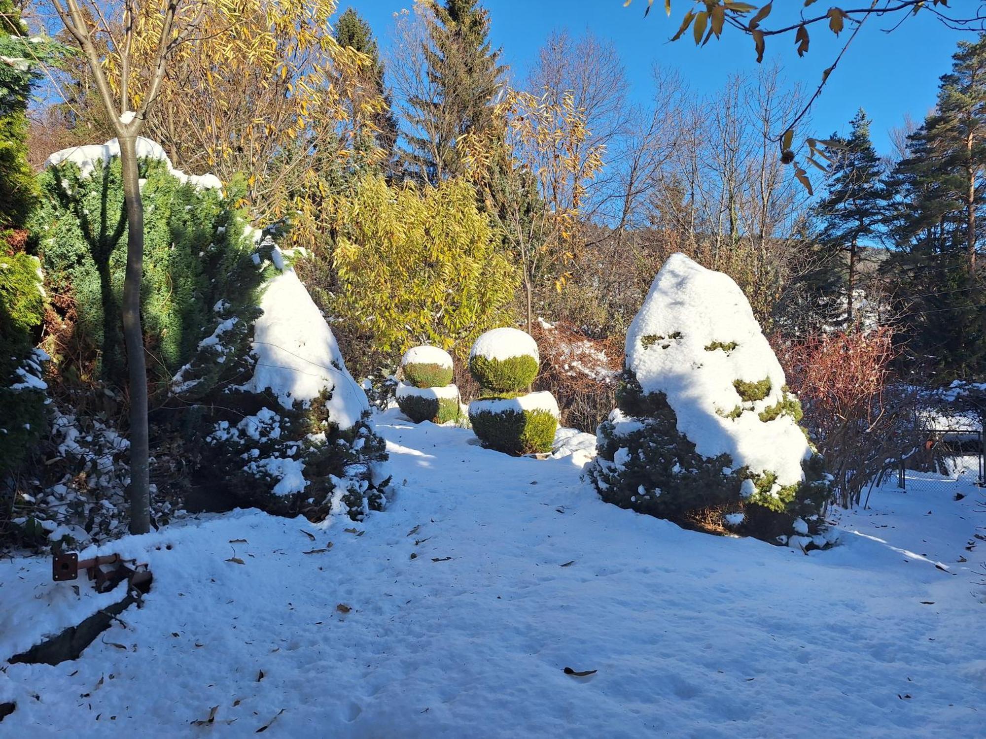 Вилла Pohorje Zen Garden Хочко Погорье Экстерьер фото