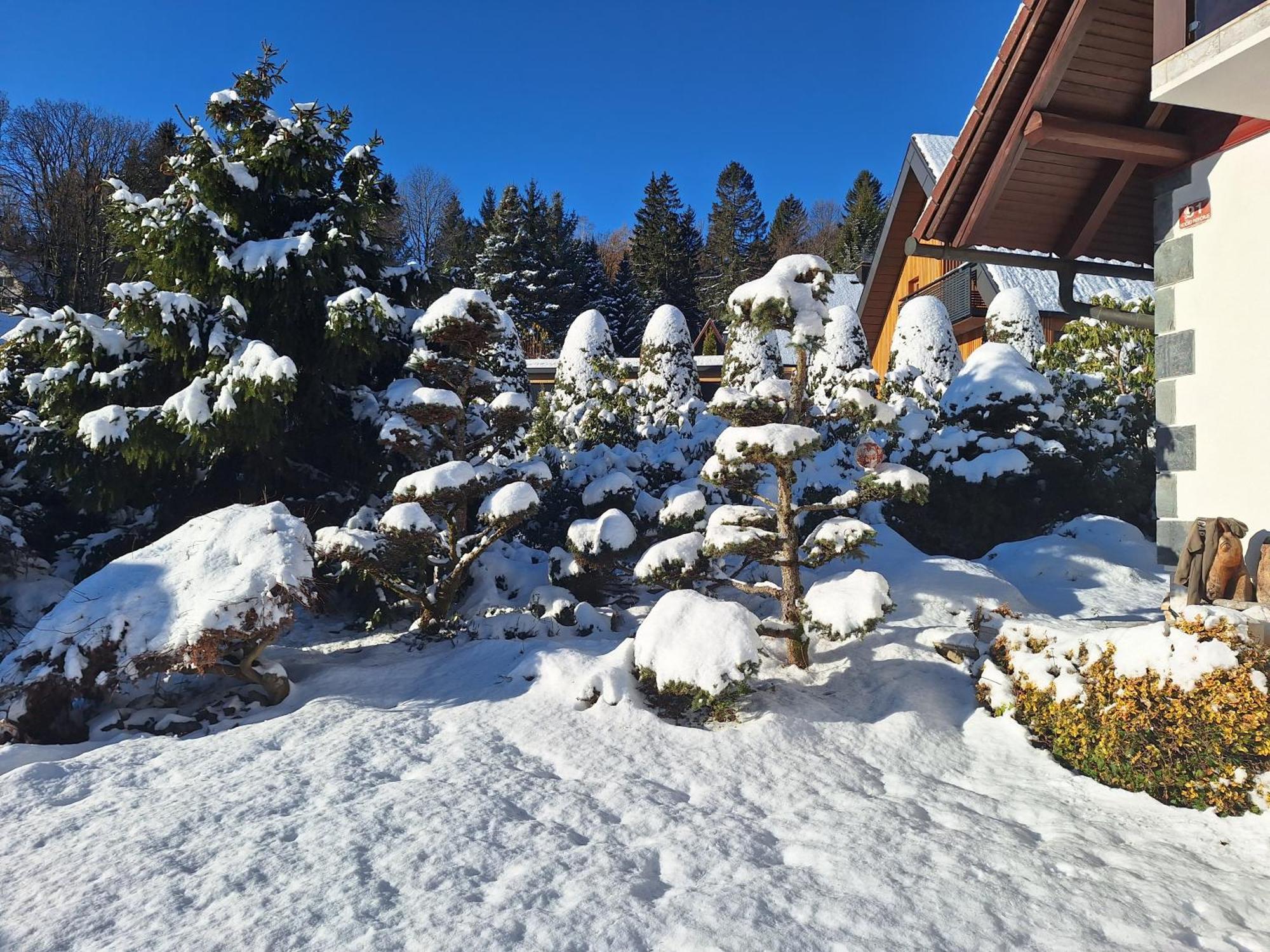 Вилла Pohorje Zen Garden Хочко Погорье Экстерьер фото